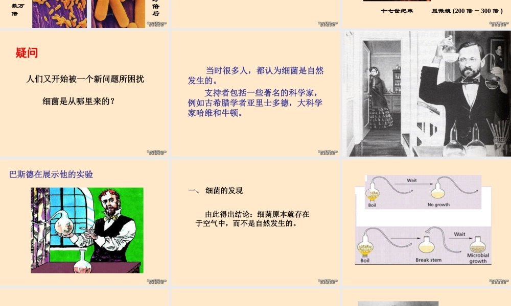 细菌八年级生物第五单元第四章第二节课件示例 课件