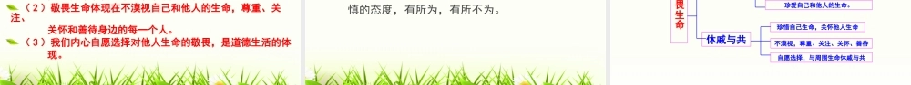8.2-敬畏生命-课件.ppt
