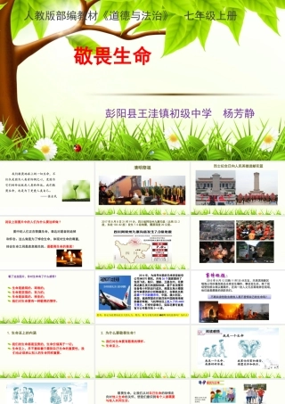 8.2-敬畏生命-课件.ppt
