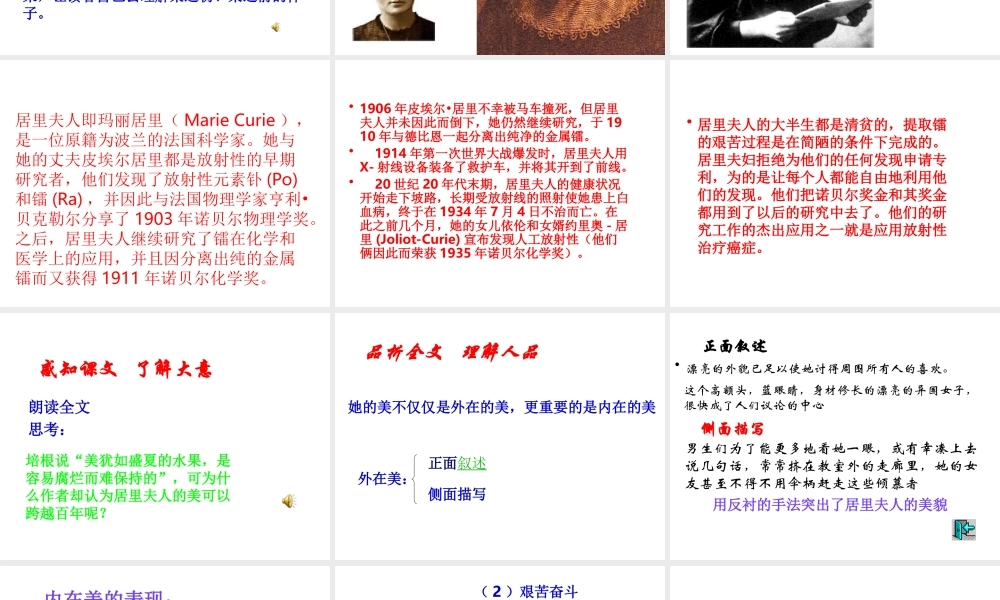 的美丽)课件(2)沪教版第一册 课件