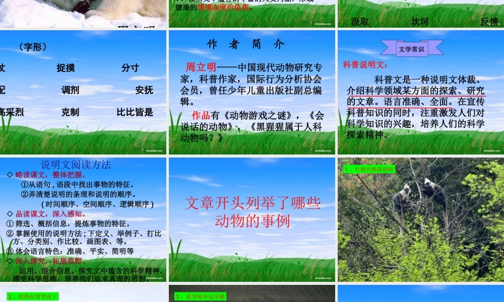 高中语文12动物游戏之谜课件新人教版必修3