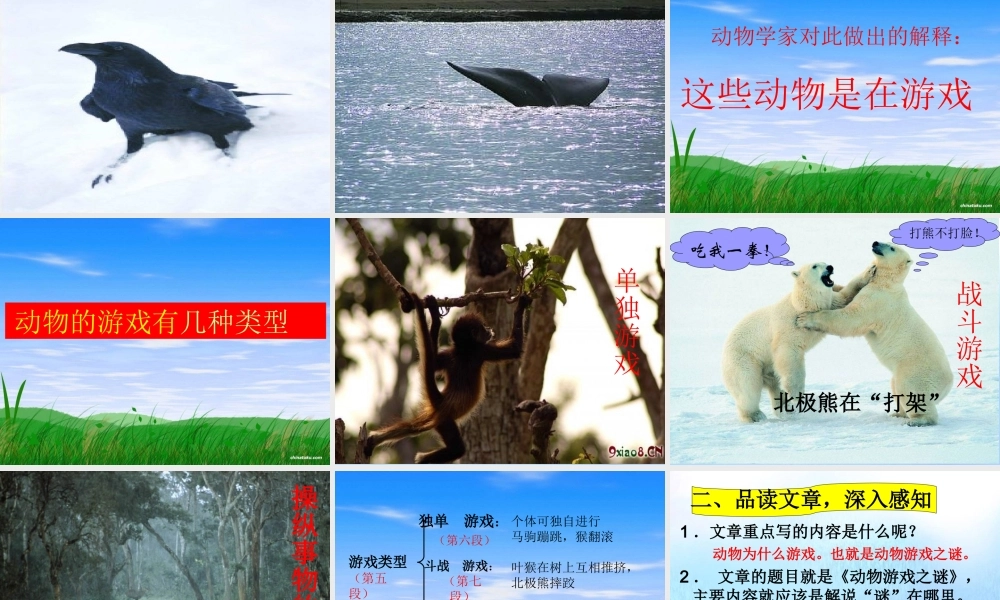 高中语文12动物游戏之谜课件新人教版必修3