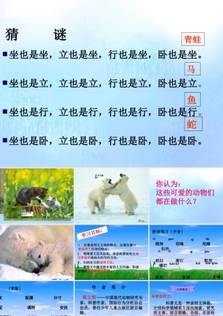 高中语文12动物游戏之谜课件新人教版必修3