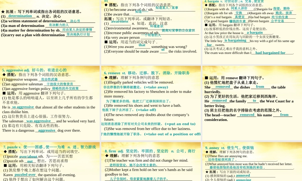 高考英语第一轮复习 Unit10 Money课件 北师大版必修4 课件