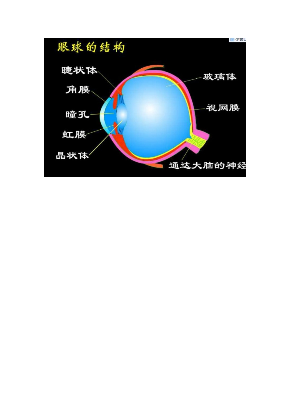 “眼睛和眼镜”教学设计_第3页
