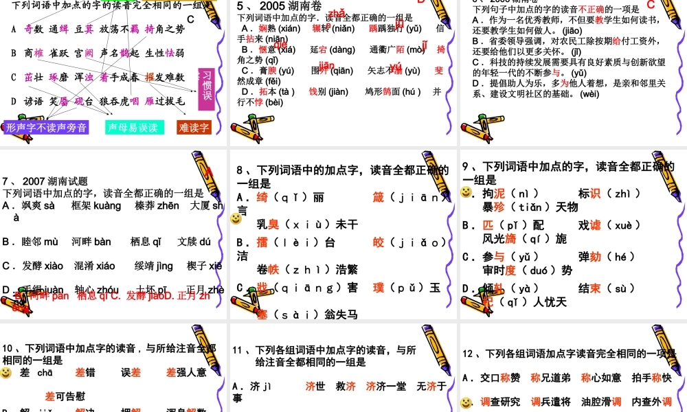 高考语文二轮专题复习：字音讲稿课件