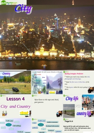 高中英语 Unit1 lesson 4 City and Country 北师大版必修1 课件