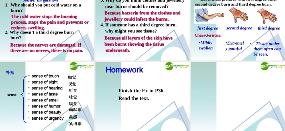 高中英语 57(Unit5 Reading I)优秀课件 新人教版必修5 课件