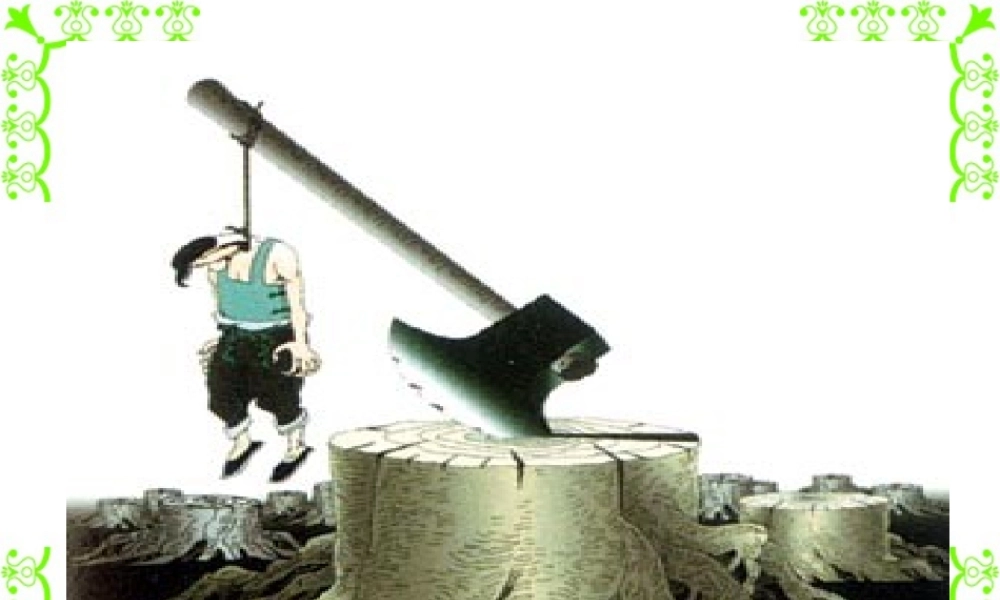 高考语文图文转换题答题方法例谈课件