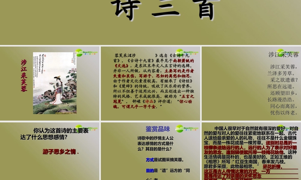 高中语文 第二单元之(涉江采芙蓉)课件  新人教版必修2 课件
