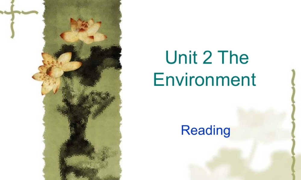 高中英语(Unit 2 The Environment )课件(1)-Reading(牛津译林版必修5) 课件