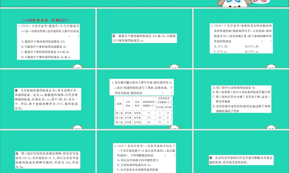 版八年级生物下册 第七单元 生物圈中生命的延续和发展 第二章 生物的遗传和变异 3 基因的显性和隐性训练课件 (新版)新人教版 课件