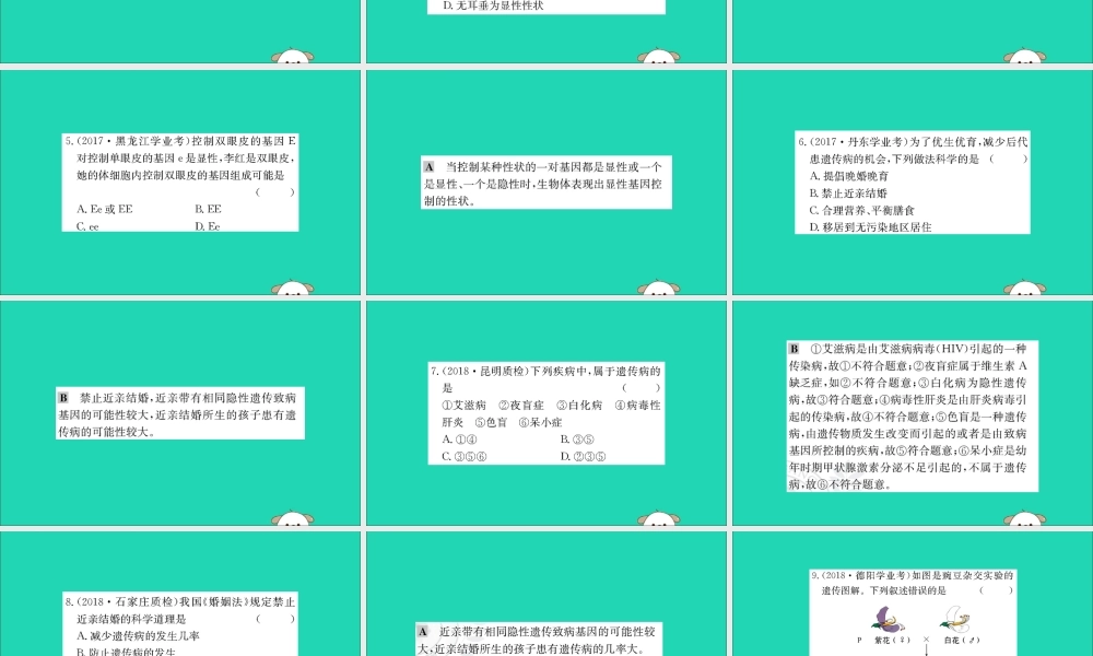 版八年级生物下册 第七单元 生物圈中生命的延续和发展 第二章 生物的遗传和变异 3 基因的显性和隐性训练课件 (新版)新人教版 课件