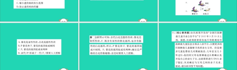 版八年级生物下册 第七单元 生物圈中生命的延续和发展 第二章 生物的遗传和变异 3 基因的显性和隐性训练课件 (新版)新人教版 课件