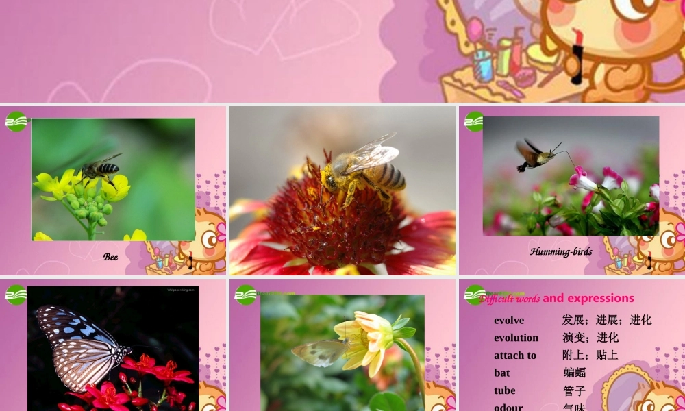 高中英语 Unit4Exploring plants-Using language课件 新人教选修9 课件