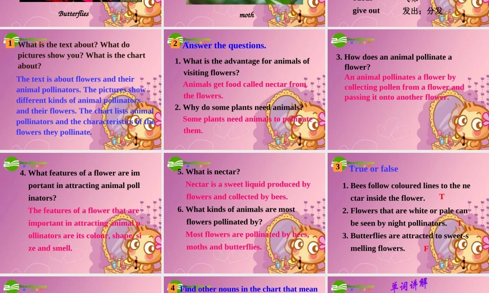 高中英语 Unit4Exploring plants-Using language课件 新人教选修9 课件