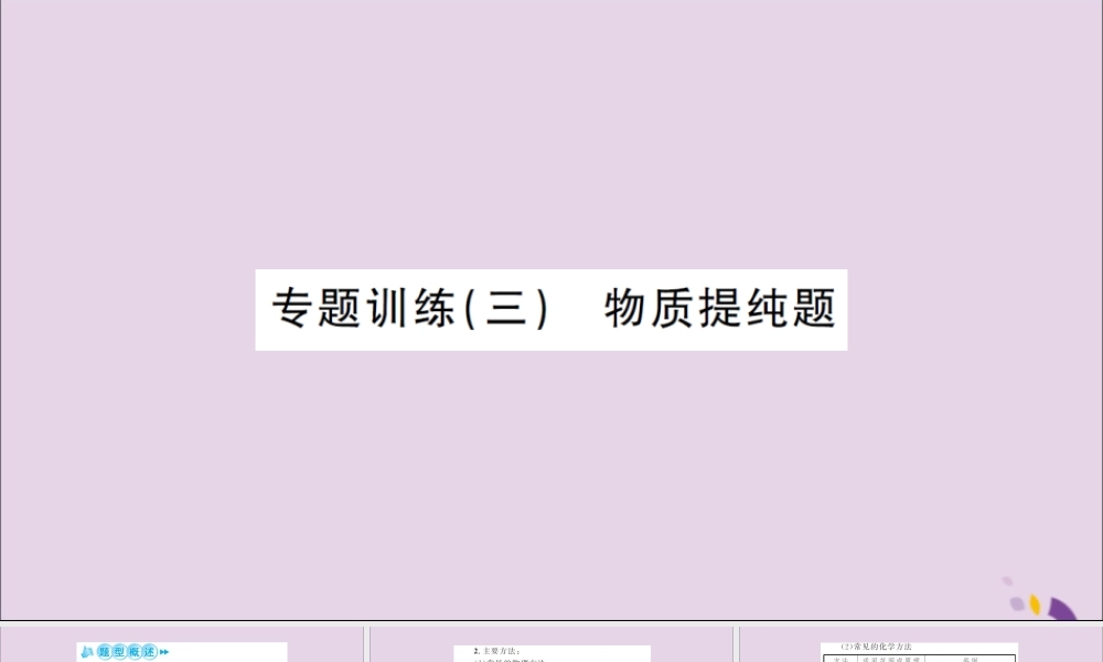 湖北省中考化学一轮复习 专题训练(三)物质提纯题课件