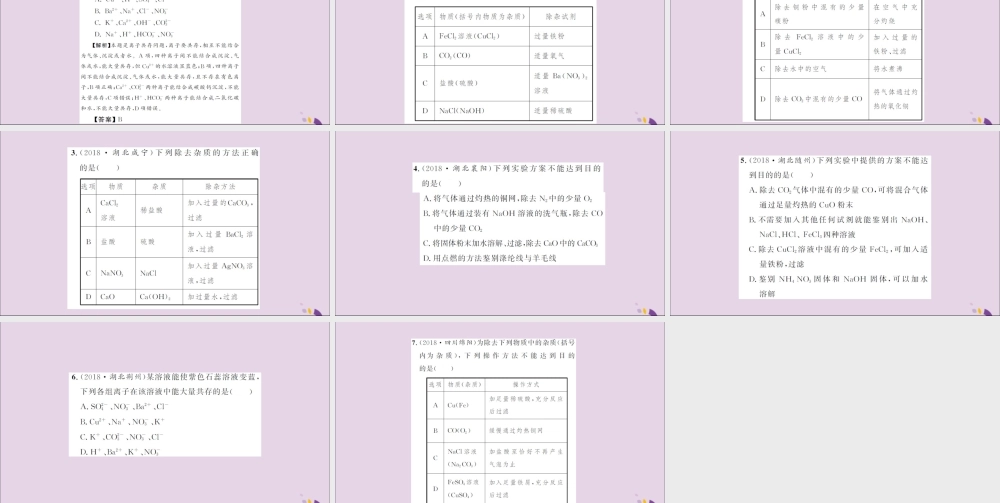 湖北省中考化学一轮复习 专题训练(三)物质提纯题课件