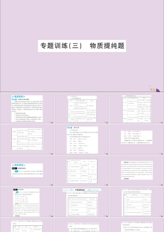 湖北省中考化学一轮复习 专题训练(三)物质提纯题课件