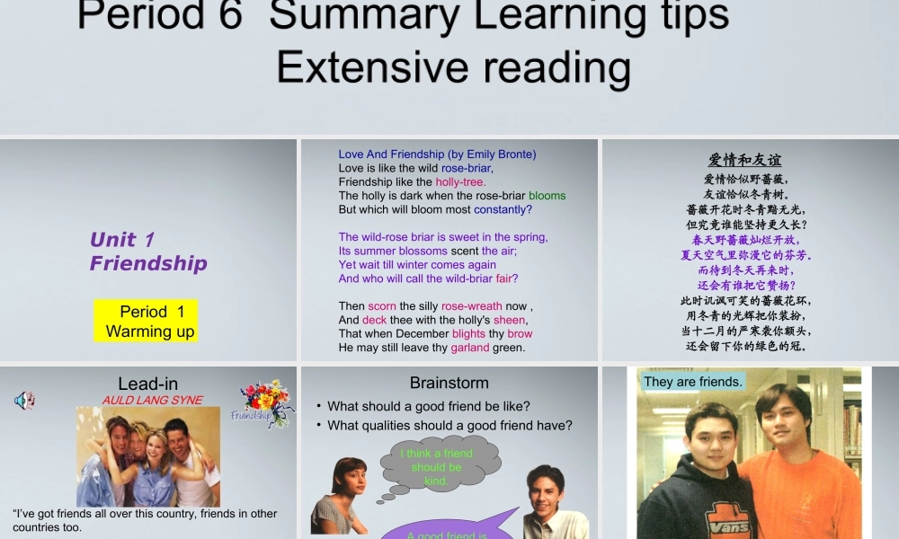 高中英语 Unit 1 Friendship课件 新人教版 课件