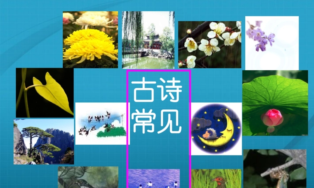 高考语文(诗歌常见意象赏析)教学课件