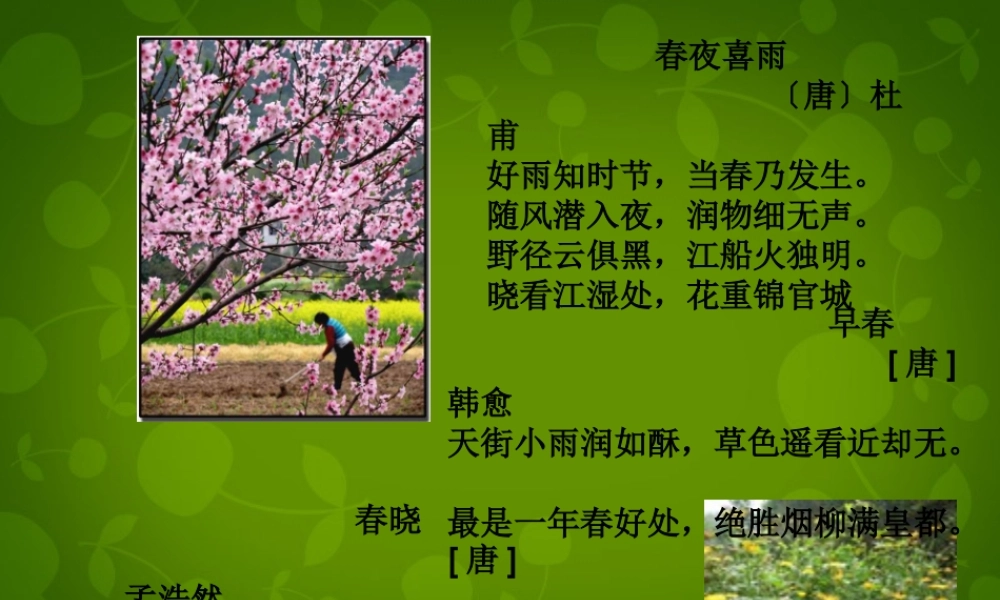 浙江省宁波市慈城中学七年级语文上册 11 春课件 (新版)新人教版