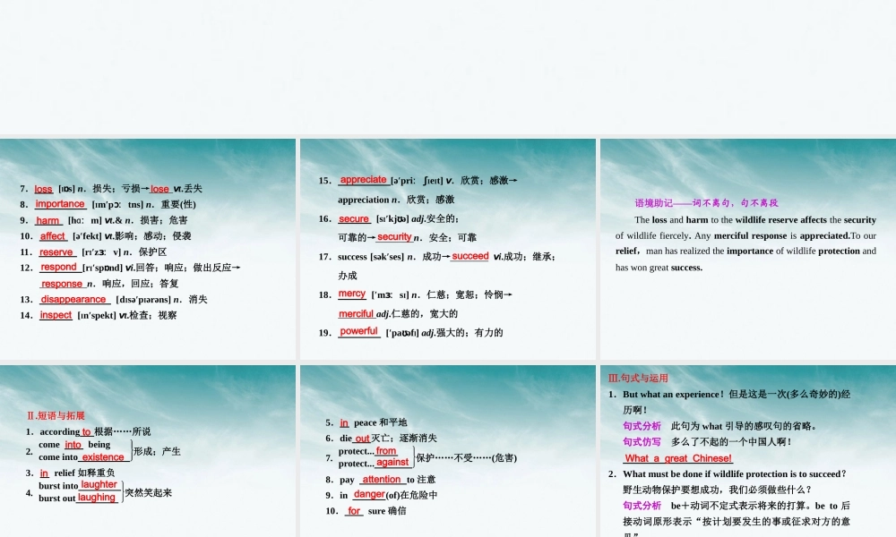 高考英语 Unit4Wildlife protection课件 新人教版必修2 课件