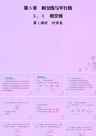 秋七年级数学上册 第5章 相交线与平行线 5.1 相交线 第1课时 对顶角课件 (新版)华东师大版 课件