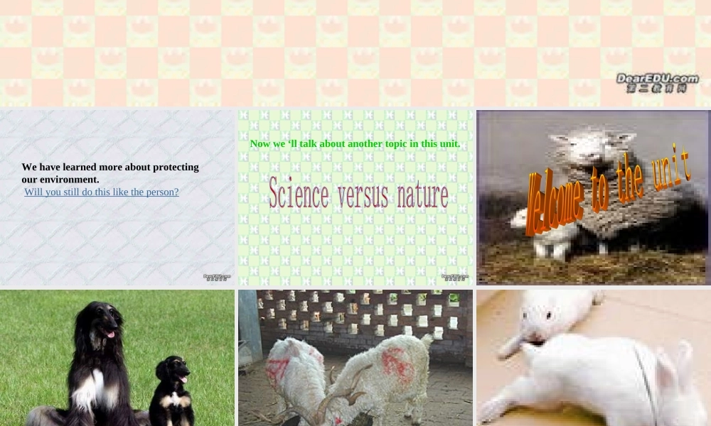 高二英语模块五Unit3 新课标 人教版 课件