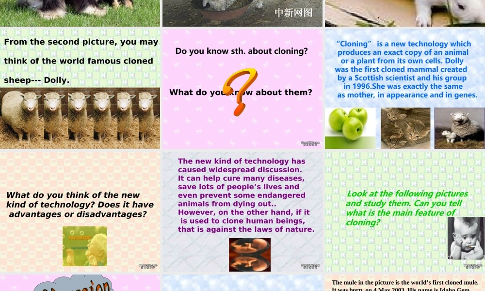 高二英语模块五Unit3 新课标 人教版 课件