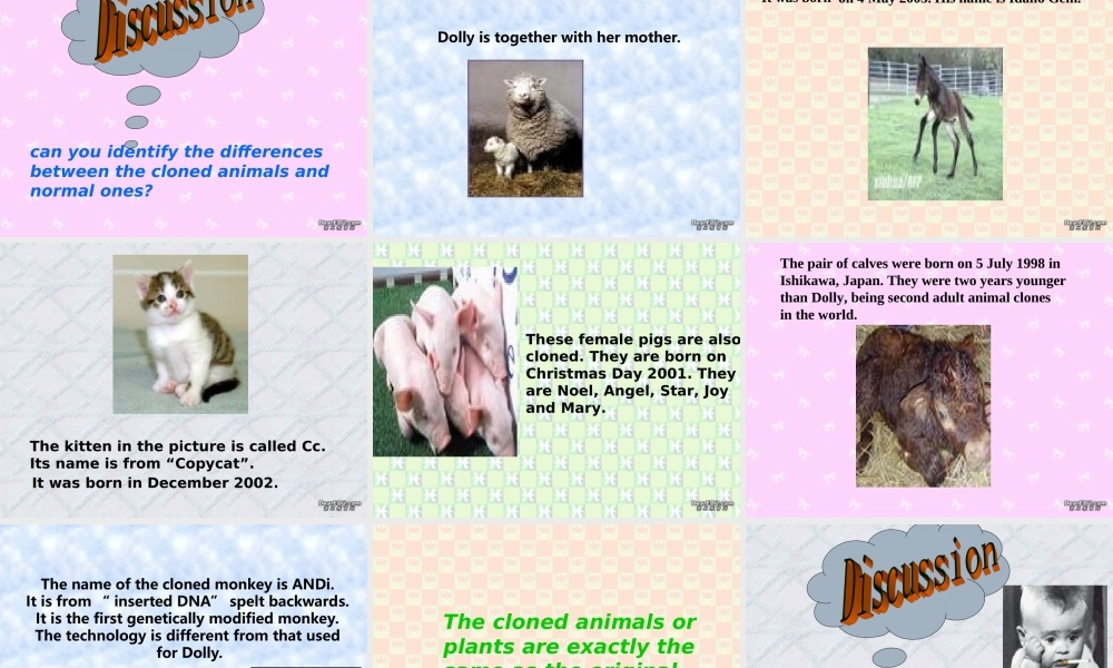 高二英语模块五Unit3 新课标 人教版 课件