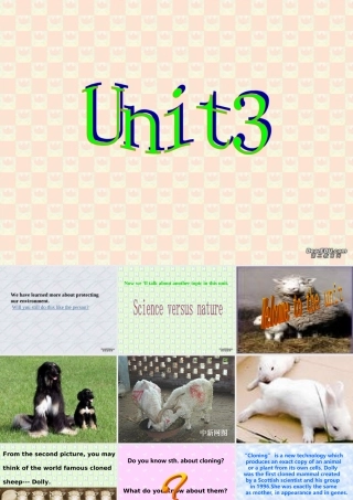 高二英语模块五Unit3 新课标 人教版 课件