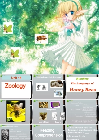 高三英语 unit14 The Language of Honey-bees课件 人教版 课件