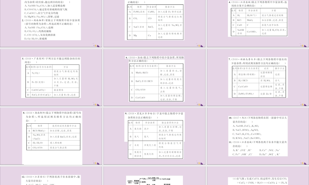 湖北省中考化学一轮复习 专题训练(三)物质提纯题习题课件