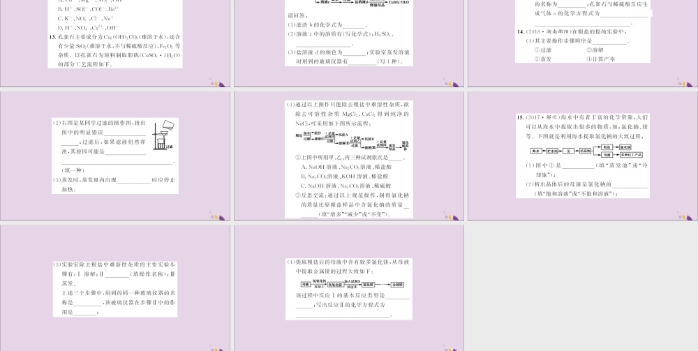 湖北省中考化学一轮复习 专题训练(三)物质提纯题习题课件