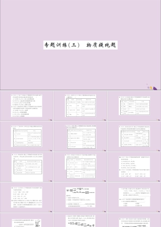 湖北省中考化学一轮复习 专题训练(三)物质提纯题习题课件