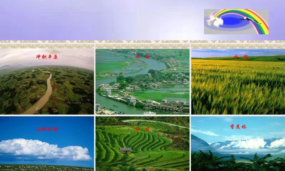 高一地理：第五单元(农业的区位选择)课件 人教版 课件