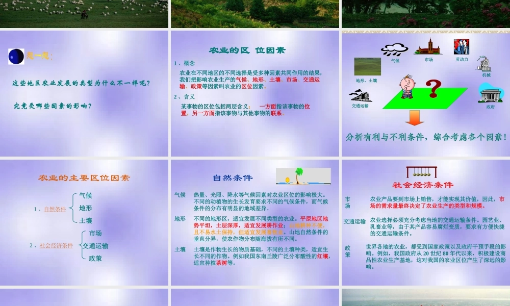 高一地理：第五单元(农业的区位选择)课件 人教版 课件