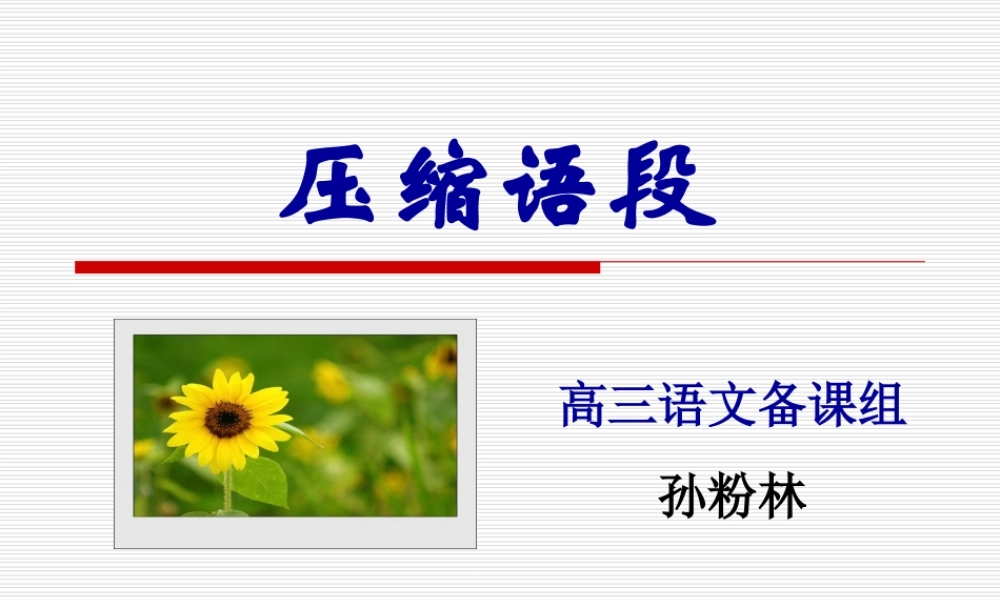 高中语文压缩语段自己上课的课件全国通用 课件