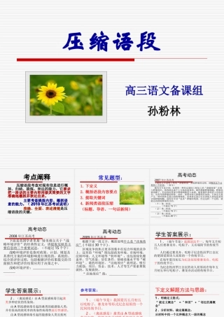 高中语文压缩语段自己上课的课件全国通用 课件
