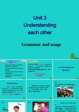 英语 Unit 3 Understanding each other Grammar and usage课件 牛津版选修6 课件