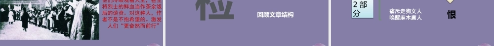 高中语文第三专题直面人生纪念刘和珍君第一课时课件苏教版必修5 课件