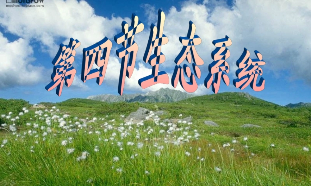 生态系统七年级生物上册 课件