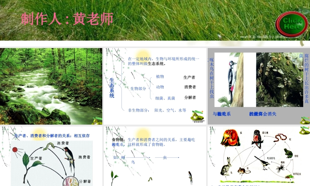 生态系统七年级生物上册 课件