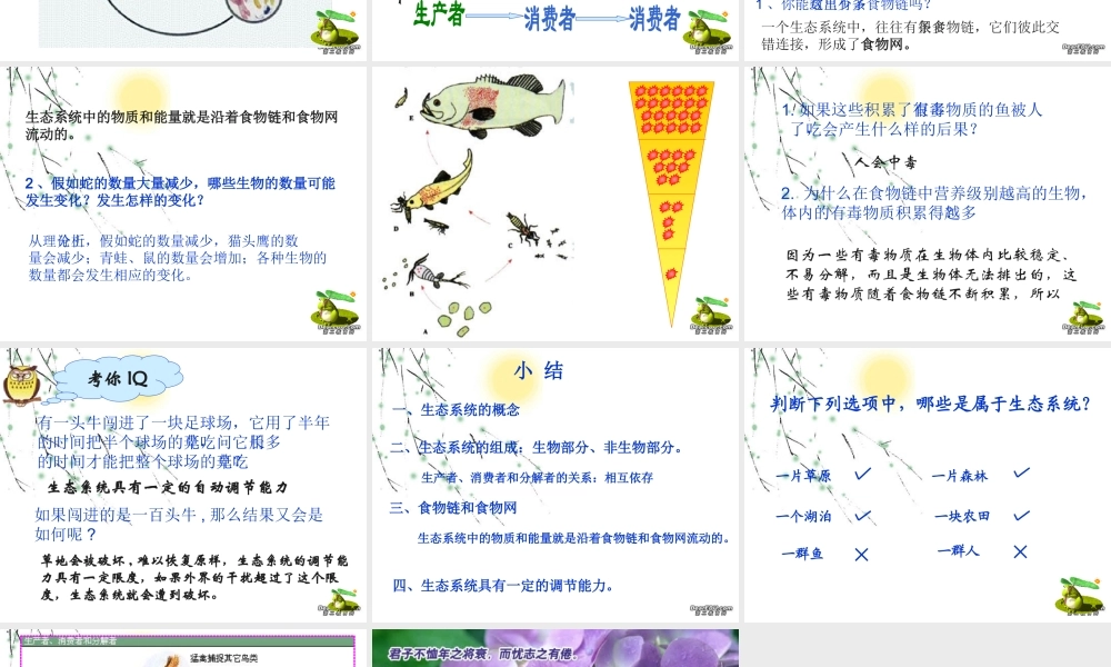 生态系统七年级生物上册 课件