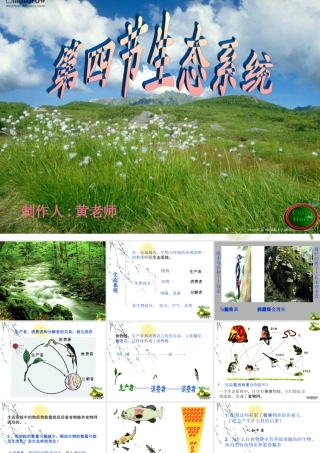 生态系统七年级生物上册 课件