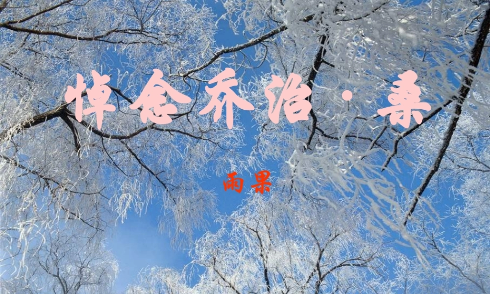 高中语文(悼念乔治 桑)课件 鲁教版必修2 课件