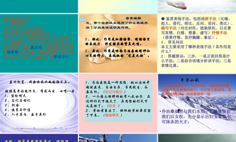 高中语文(悼念乔治 桑)课件 鲁教版必修2 课件