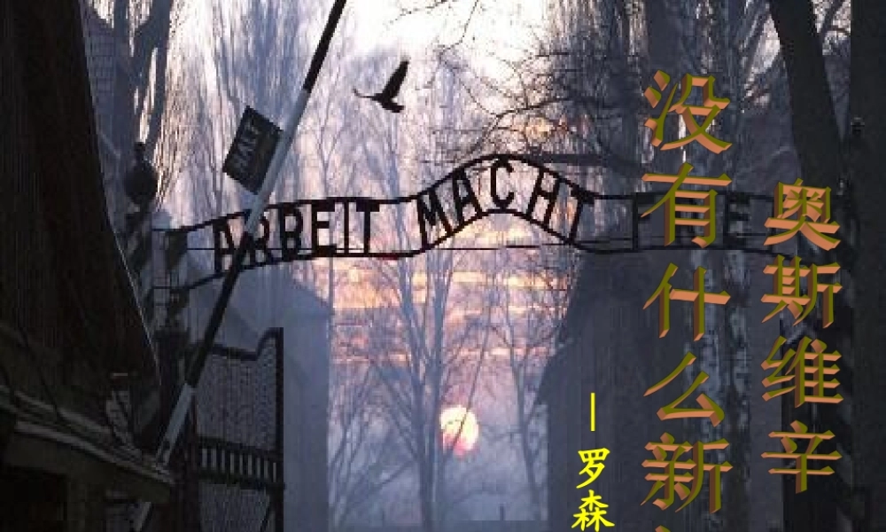 高中语文10奥斯维辛没有什么新闻课件新人教版必修1 课件