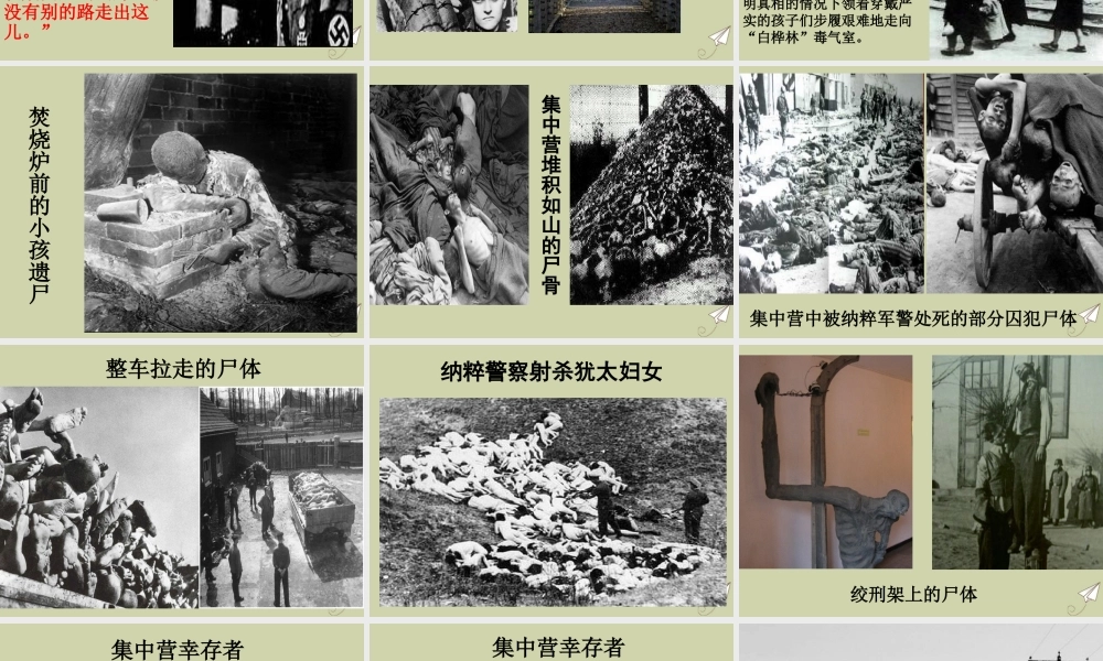 高中语文10奥斯维辛没有什么新闻课件新人教版必修1 课件